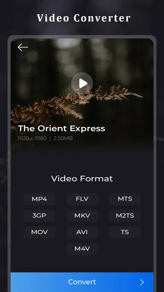 Video Converter-ConverterBlack سکرین شاٹس