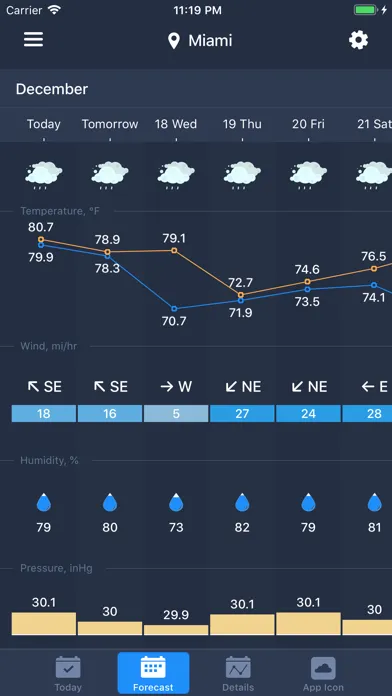 Скриншоты Weather on Icon
