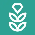 VPN Rice