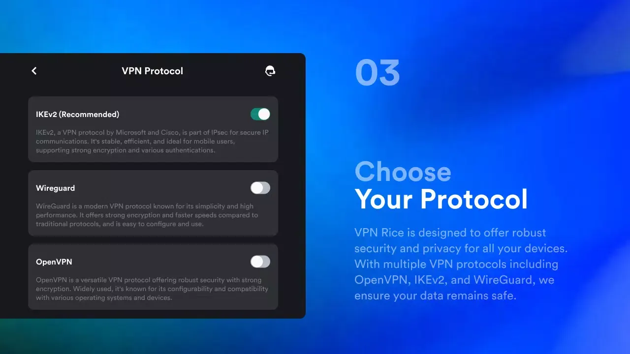 VPN Rice Screenshots