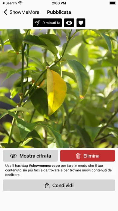 Captures d'écran de ShowMeMore App