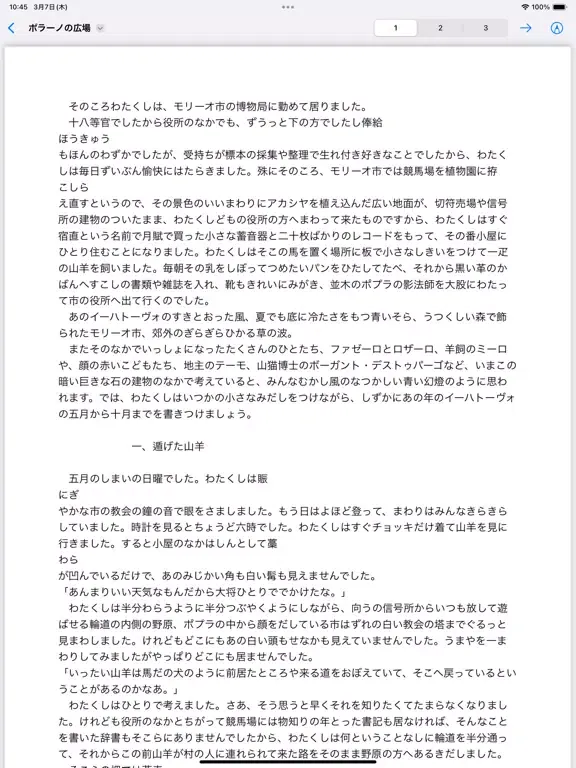 複数スクロール位置PDF iPad  Screenshots