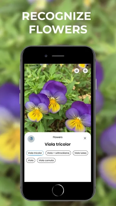 You Lens - AI Search by Image應用截圖