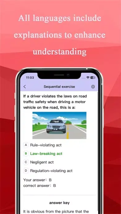Captures d'écran de Chinese driver's license exam