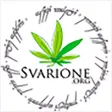 Lo Svarione