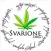 Lo Svarione