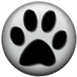 Carnet de control para mascota
