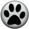 Carnet de control para mascota