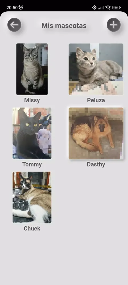Carnet de control para mascota Screenshots