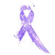 Chiari Bridges