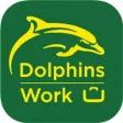 DolphinsWork