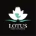 Lotus Home Interiors