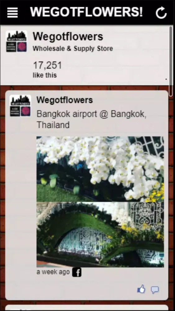 Capturas de pantalla de WE GOT FLOWERS!