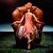 illustGallery -wallpaper-