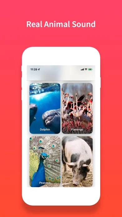 Screenshot di Identify Animal Sounds, Noises