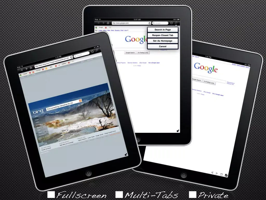 Tangkapan layar Private Browser With Fullscreen & Multi-Tabs Lite iPad 