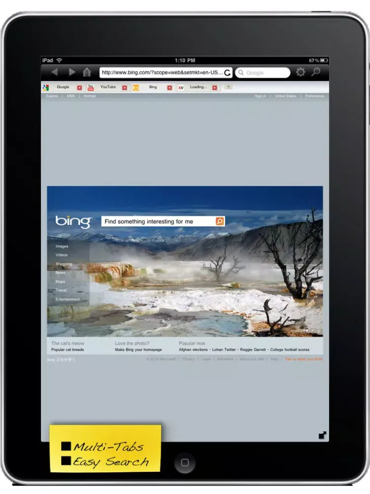 Tangkapan layar Private Browser With Fullscreen & Multi-Tabs Lite iPad 