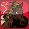 Barrel Horse Racing Barrel Horse Racing