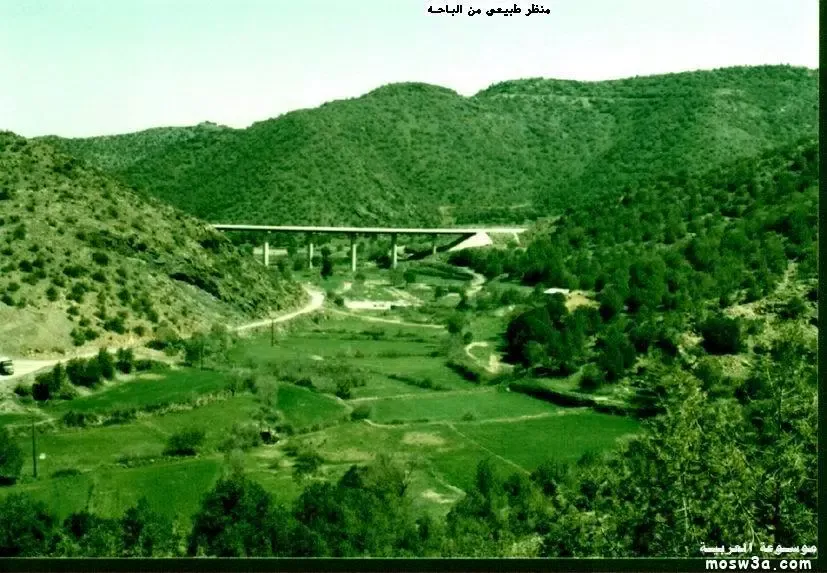 الباحة - أبها Screenshots
