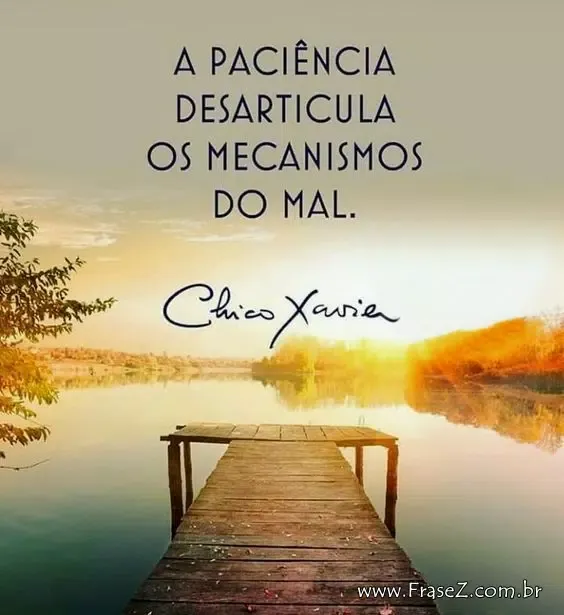 Frases do Chico Xavier Screenshots