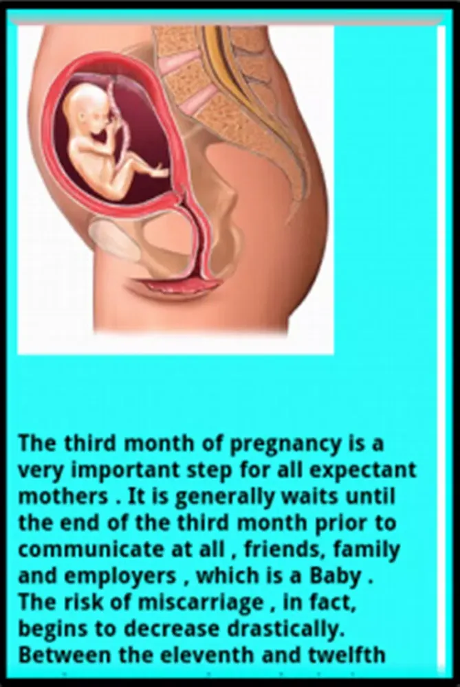 Captures d'écran de Pregnancy MOM and baby