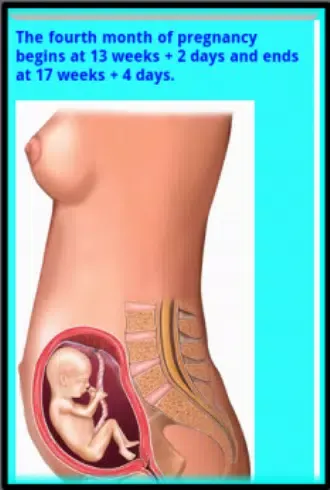 Captures d'écran de Pregnancy MOM and baby