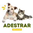 Adestramento para Cães e Gatos