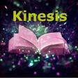 Kinesis desde Cero