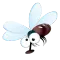 Invasión de moscas!