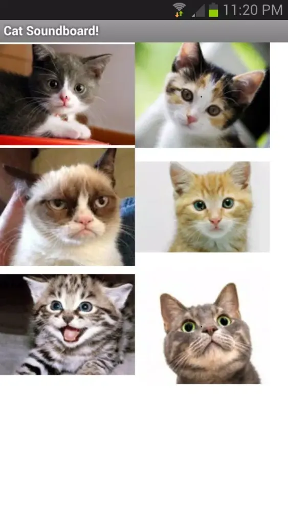 Cat and Kitten SoundBoard Screenshots