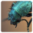 ApiCalc_v11 ApiCalc_v11