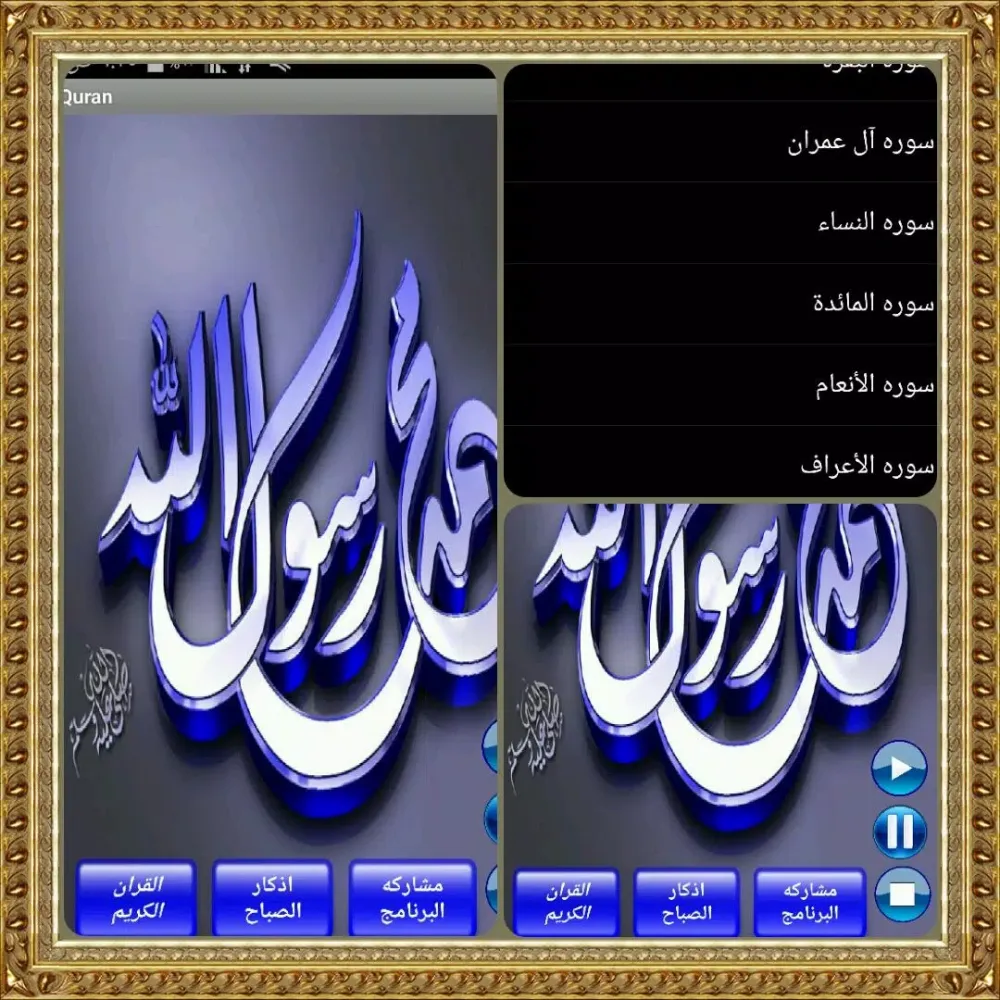 القران الكريم صوت Screenshots