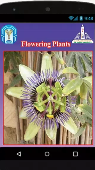 Floral diagrams Screenshots