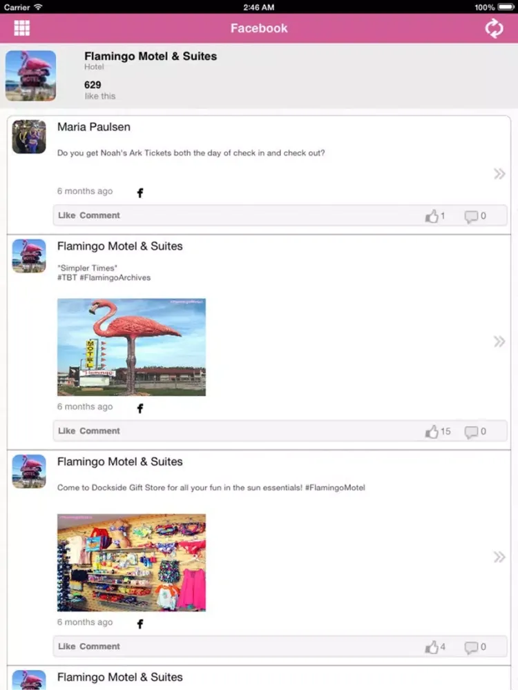 Flamingo Motel & Suites iPad 应用截图
