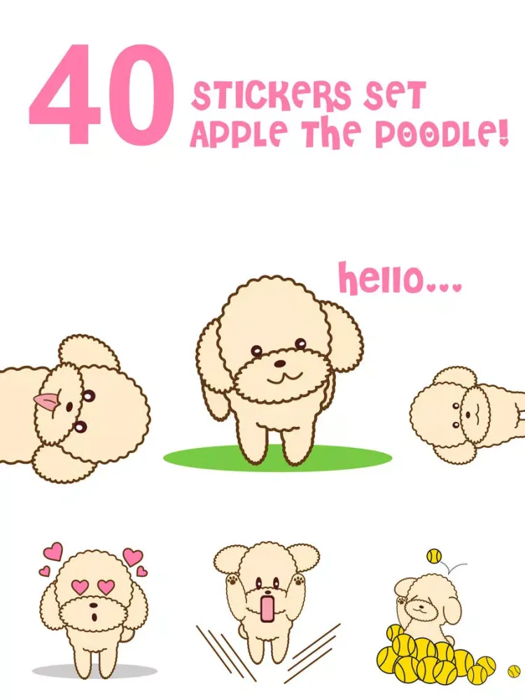 تصاویر Apple the poodle iPad 