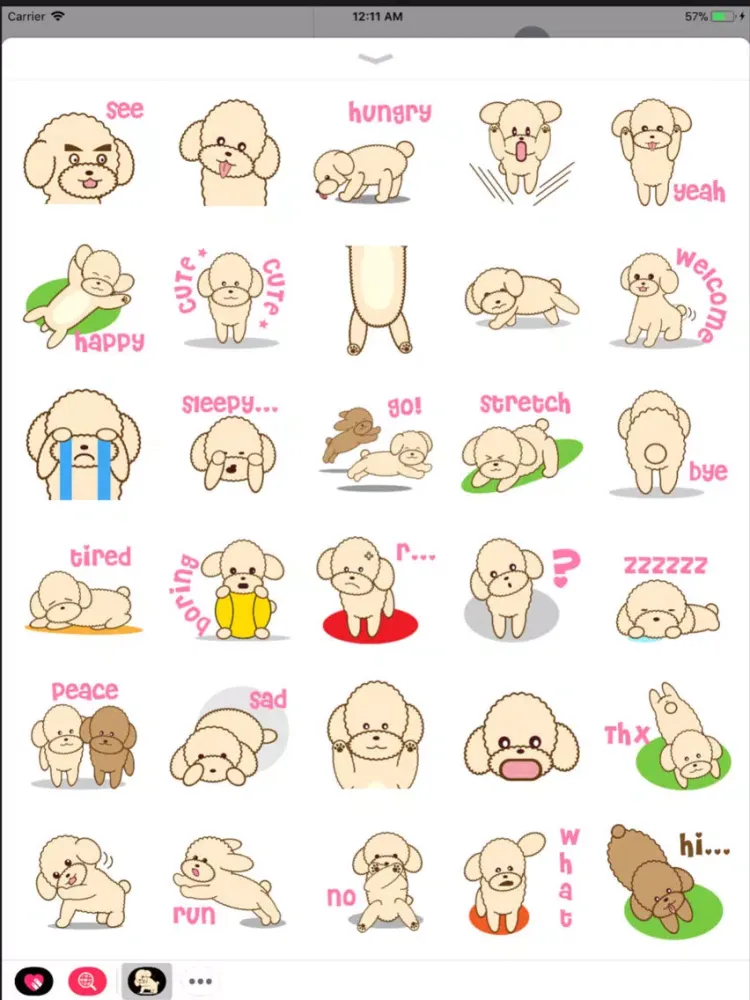 تصاویر Apple the poodle iPad 
