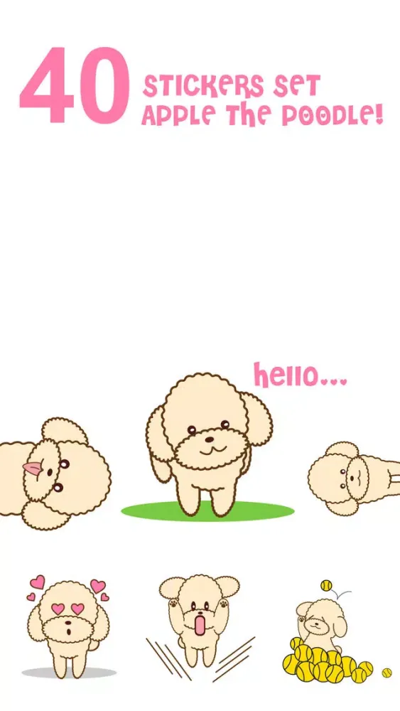تصاویر Apple the poodle