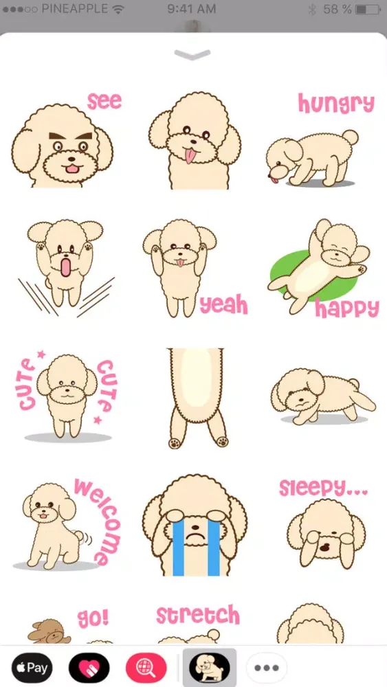 تصاویر Apple the poodle
