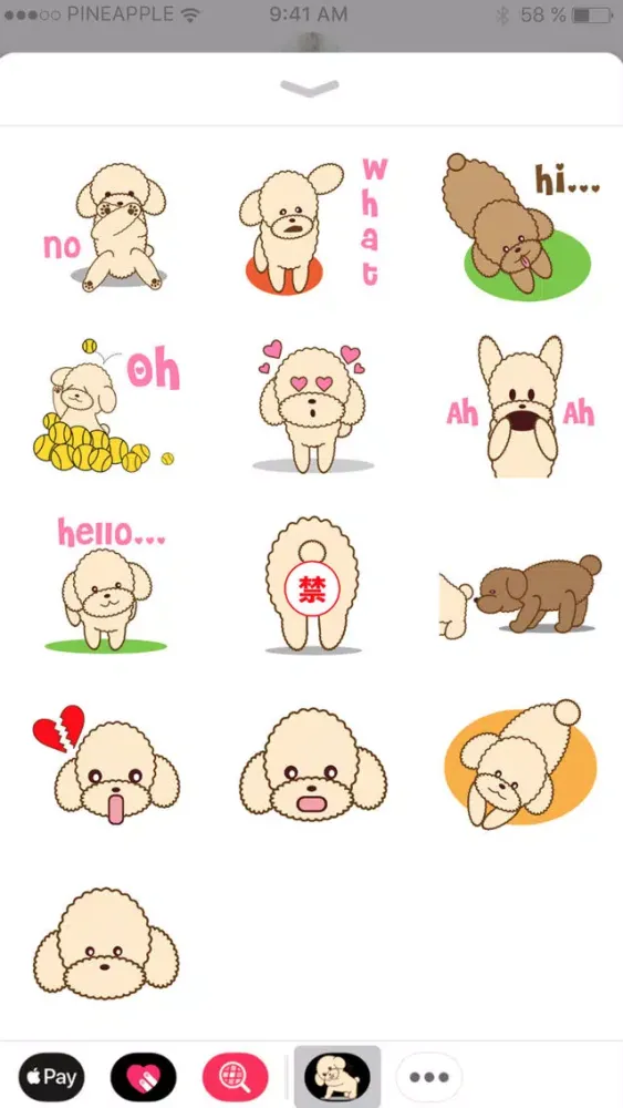 تصاویر Apple the poodle