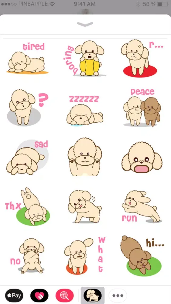 تصاویر Apple the poodle