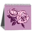 Woman Calendar