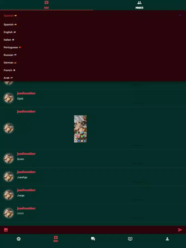 Valorant Wiki iPad  スクリーンショット