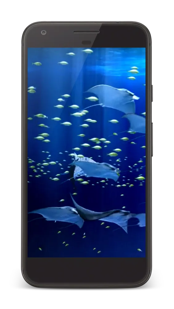 Aquarium Video Live Wallpaper Ekran Görüntüleri