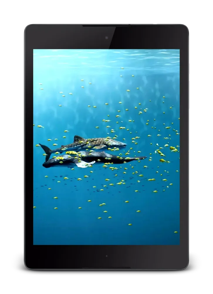 Aquarium Video Live Wallpaper Ekran Görüntüleri