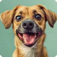 HowOldIsMyPet