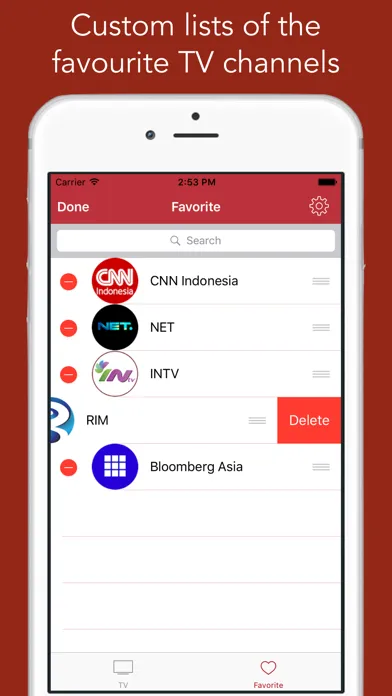 TV Indonesia - televisi hidup スクリーンショット