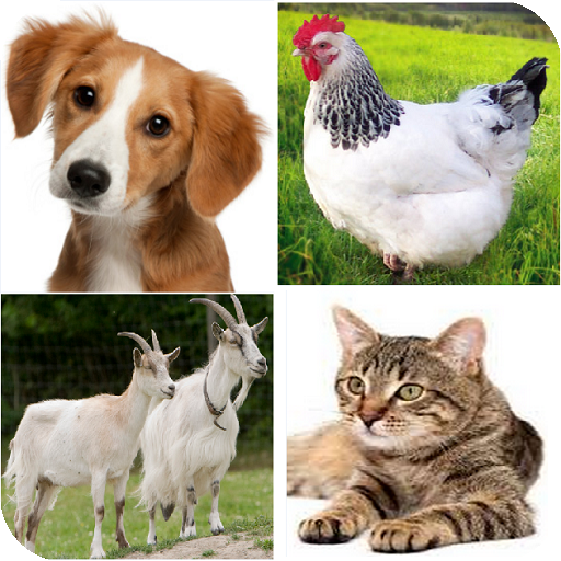 The names of the animals in Ar The names of the animals in Ar