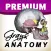 Gray's Anatomy Premium Edition