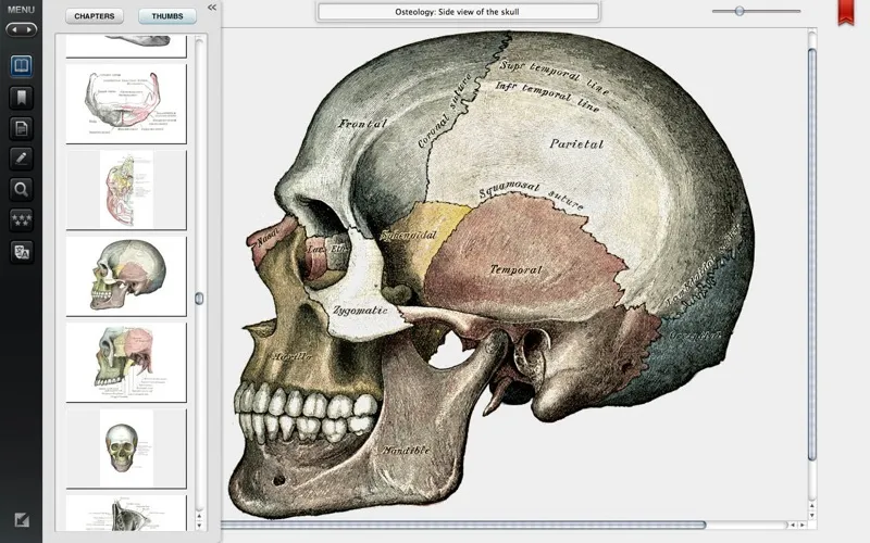Ảnh chụp màn hình của Gray's Anatomy Premium Edition