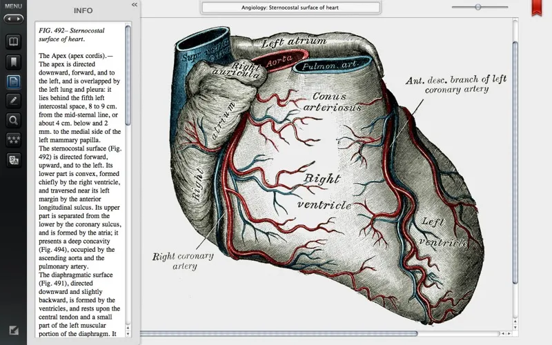 Ảnh chụp màn hình của Gray's Anatomy Premium Edition